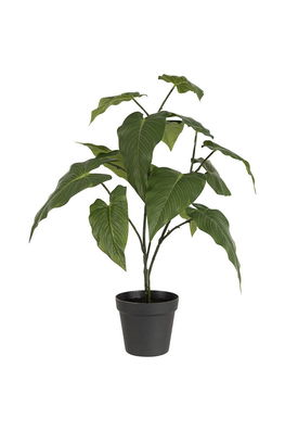 Line Plantă Artificială în Ghiveci J-Line Dama Verde