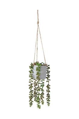 Boltze Plantă Artificială în Ghiveci Erbse Bărbaţi Multicolor