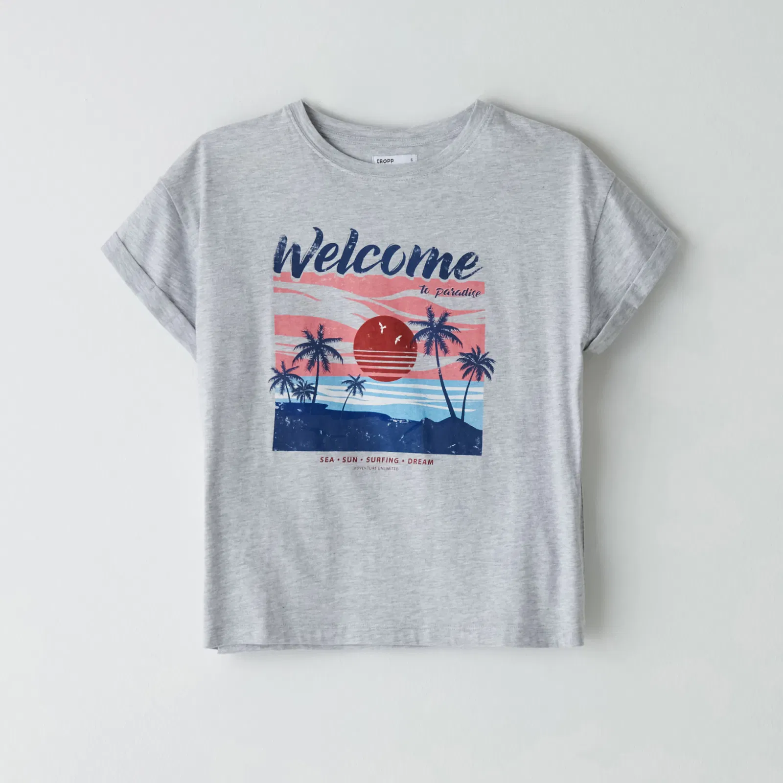 Cropp - Tricou larg cu imprimeu - Gri deschis
